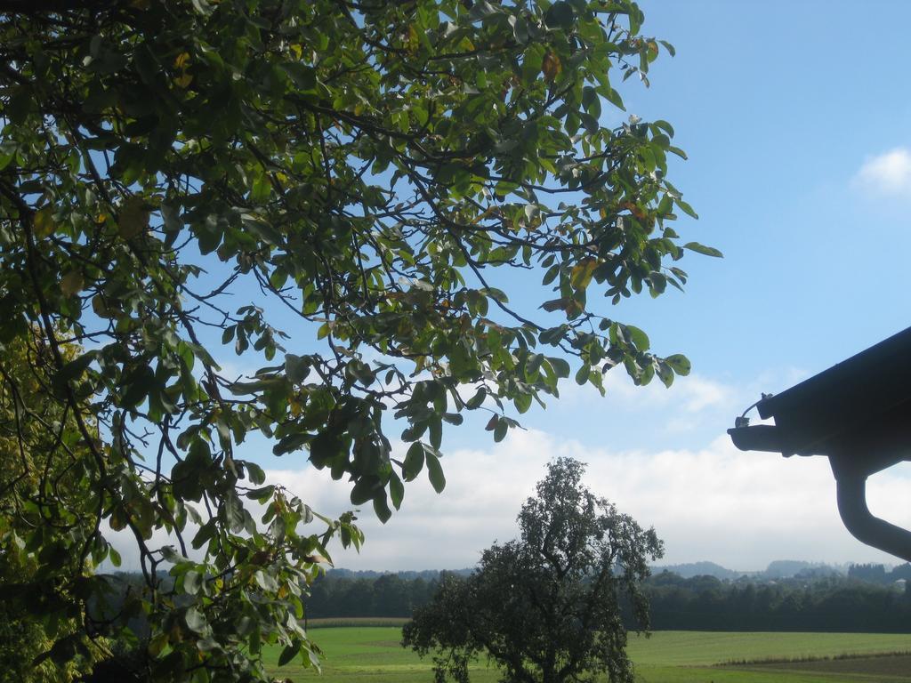 Gasthof Muhr Wirt Z'Bierbaum Hotel Gampern Luaran gambar